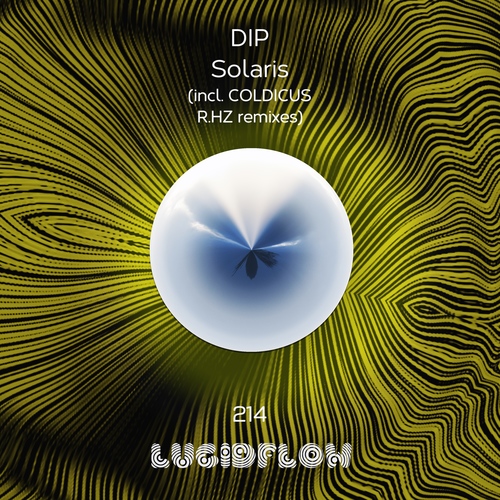 LF214 Dip - Solaris (R.Hz, Coldicus Remixes) 14.12.2020 all shops artwork