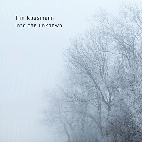 Tim Kossmann - into the unknown (drone ambient album) - Lucidflow (17.6. beatport 15.7. all) artwork