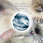 raw hypnotic - Mielafon & Symmetrical 812 - Account X - LF272 (30-12-2022 PRE-RELEASE 13-01-2023 RELEASE)