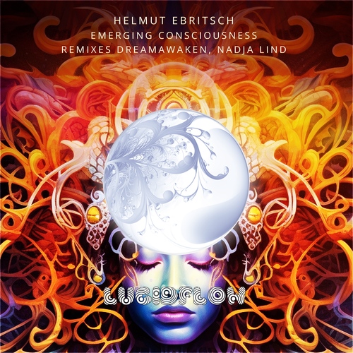 LF291 H. Ebritsch - Emerging Consciousness Remixes by dreamAwaken, Nadja Lind (11.8.pre, 8.9. all) artwork