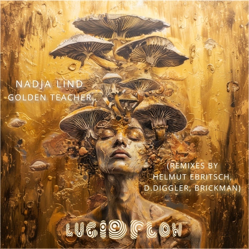 LF314 Nadja Lind - Golden Teacher (feat. by John Digweed TRNSNS 1025 & 1028) 30.5. all shops artwork